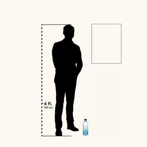 SIZE COMPARISON GRAPHIC SHOWING A 6-FOOT HUMAN SILHOUETTE AND WATER BOTTLE NEXT TO A RECTANGULAR POSTER FOR SCALE.